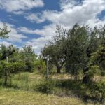 Lote en Carrodilla • Luján de Cuyo. Opción de financiamiento.