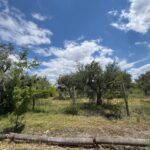 Lote en Carrodilla • Luján de Cuyo. Opción de financiamiento.