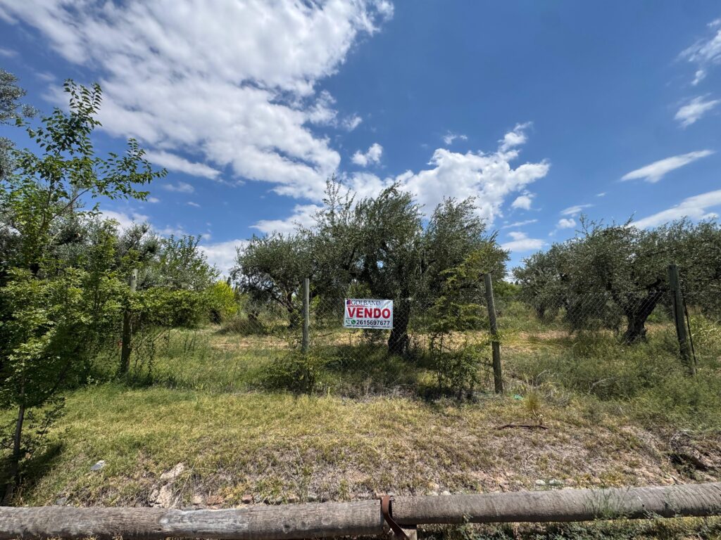 Lote en Carrodilla • Luján de Cuyo. Opción de financiamiento.