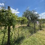 Lote en Carrodilla • Luján de Cuyo. Opción de financiamiento.