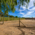 Lote- Terruñoa de AraoZ ll- Maipú